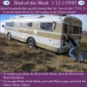 Filename=BirdoWeek011207_Swartzentruber.jpg
Filesize=84KiB
Dimensions=565x566
Date added=Sep 09, 2015 BirdoWeek011207_Swartzentruber.jpg