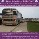 BirdofWeek2B0113122BHowald.jpg