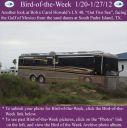 BirdofWeek2B0120122BHowald.jpg