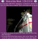 BirdofWeek2B0129102BHorvath.jpg