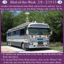 Filename=BirdofWeek2B0208132BLosh.jpg
Filesize=366KiB
Dimensions=565x566
Date added=Sep 09, 2015 BirdofWeek2B0208132BLosh.jpg
