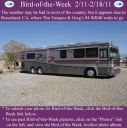 Filename=BirdofWeek2B0211112BGreg2B25262BTim.jpg
Filesize=353KiB
Dimensions=565x566
Date added=Sep 09, 2015 BirdofWeek2B0211112BGreg2B25262BTim.jpg
