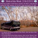 Filename=BirdofWeek2B0218112BArnold.jpg
Filesize=417KiB
Dimensions=565x566
Date added=Sep 09, 2015 BirdofWeek2B0218112BArnold.jpg