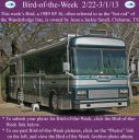 Filename=BirdofWeek2B0222132BSmall.jpg
Filesize=337KiB
Dimensions=565x566
Date added=Sep 09, 2015 BirdofWeek2B0222132BSmall.jpg