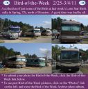 Filename=BirdofWeek2B0225112BLone2BStar2BBirds.jpg
Filesize=362KiB
Dimensions=565x566
Date added=Sep 09, 2015 BirdofWeek2B0225112BLone2BStar2BBirds.jpg