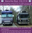 Filename=BirdofWeek2B0226102BGureasko.jpg
Filesize=327KiB
Dimensions=565x566
Date added=Sep 09, 2015 BirdofWeek2B0226102BGureasko.jpg