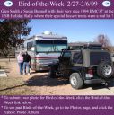 Filename=BirdofWeek2B0227092BSmith.jpg
Filesize=375KiB
Dimensions=565x566
Date added=Sep 09, 2015 BirdofWeek2B0227092BSmith.jpg