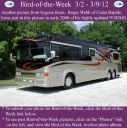 Filename=BirdofWeek2B0302122BWebb.jpg
Filesize=324KiB
Dimensions=565x566
Date added=Sep 09, 2015 BirdofWeek2B0302122BWebb.jpg