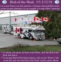 Filename=BirdofWeek2B0305102BOlympic2BBird.jpg
Filesize=304KiB
Dimensions=479x480
Date added=Sep 09, 2015 BirdofWeek2B0305102BOlympic2BBird.jpg