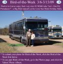 Filename=BirdofWeek2B0306092BCarver.jpg
Filesize=332KiB
Dimensions=565x566
Date added=Sep 09, 2015 BirdofWeek2B0306092BCarver.jpg