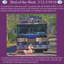 BirdofWeek2B0312102B2BGood2BGo-Inn.jpg