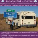 BirdofWeek2B0417092BSmith2Bpt2.jpg