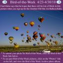 BirdofWeek2B0423102BNM2BHot2BAir2BBalloon2BRally.jpg