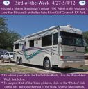 BirdofWeek2B0427122BBrundridge.jpg