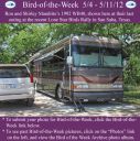 Filename=BirdofWeek2B0504122BMarabito.jpg
Filesize=364KiB
Dimensions=565x566
Date added=Sep 09, 2015 BirdofWeek2B0504122BMarabito.jpg