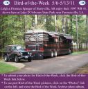 Filename=BirdofWeek2B0506112BSpargur.jpg
Filesize=419KiB
Dimensions=565x566
Date added=Sep 09, 2015 BirdofWeek2B0506112BSpargur.jpg