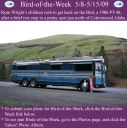 Filename=BirdofWeek2B0508092BWright.jpg
Filesize=304KiB
Dimensions=565x566
Date added=Sep 09, 2015 BirdofWeek2B0508092BWright.jpg