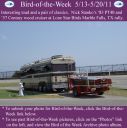 Filename=BirdofWeek2B0513112BStanko.jpg
Filesize=300KiB
Dimensions=565x566
Date added=Sep 09, 2015 BirdofWeek2B0513112BStanko.jpg