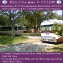 Filename=BirdofWeek2B0515092BEkberg2BKane.jpg
Filesize=366KiB
Dimensions=565x566
Date added=Sep 09, 2015 BirdofWeek2B0515092BEkberg2BKane.jpg