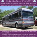 Filename=BirdofWeek2B0518122BKay.jpg
Filesize=350KiB
Dimensions=565x566
Date added=Sep 09, 2015 BirdofWeek2B0518122BKay.jpg