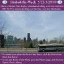 Filename=BirdofWeek2B0522092BMario2BPatti.jpg
Filesize=280KiB
Dimensions=565x566
Date added=Sep 09, 2015 BirdofWeek2B0522092BMario2BPatti.jpg