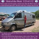 Filename=BirdofWeek2B0525122BKay2BToad.jpg
Filesize=311KiB
Dimensions=565x566
Date added=Sep 09, 2015 BirdofWeek2B0525122BKay2BToad.jpg