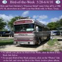 Filename=BirdofWeek2B0528102BMcIntire.jpg
Filesize=389KiB
Dimensions=565x566
Date added=Sep 09, 2015 BirdofWeek2B0528102BMcIntire.jpg