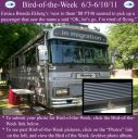 Filename=BirdofWeek2B0603112BEkberg.jpg
Filesize=325KiB
Dimensions=565x566
Date added=Sep 09, 2015 BirdofWeek2B0603112BEkberg.jpg