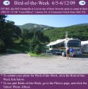 Filename=BirdofWeek2B0605092BGaramella.jpg
Filesize=319KiB
Dimensions=565x566
Date added=Sep 09, 2015 BirdofWeek2B0605092BGaramella.jpg