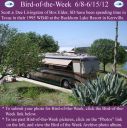 Filename=BirdofWeek2B0608122BLivingston.jpg
Filesize=415KiB
Dimensions=565x566
Date added=Sep 09, 2015 BirdofWeek2B0608122BLivingston.jpg