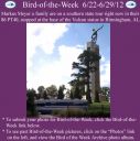Filename=BirdofWeek2B0622122BMeyer.jpg
Filesize=254KiB
Dimensions=565x566
Date added=Sep 09, 2015 BirdofWeek2B0622122BMeyer.jpg