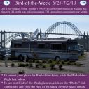 Filename=BirdofWeek2B0625102BBradner.jpg
Filesize=298KiB
Dimensions=565x566
Date added=Sep 09, 2015 BirdofWeek2B0625102BBradner.jpg