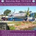 Filename=BirdofWeek2B0709102BBritton.jpg
Filesize=352KiB
Dimensions=565x566
Date added=Sep 09, 2015 BirdofWeek2B0709102BBritton.jpg