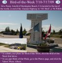 Filename=BirdofWeek2B0710092BArnold.jpg
Filesize=275KiB
Dimensions=565x566
Date added=Sep 09, 2015 BirdofWeek2B0710092BArnold.jpg