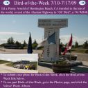 BirdofWeek2B0710092BArnold.jpg