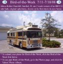 Filename=BirdofWeek2B0711082BChurchill.jpg
Filesize=360KiB
Dimensions=565x566
Date added=Sep 09, 2015 BirdofWeek2B0711082BChurchill.jpg