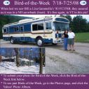 Filename=BirdofWeek2B0718082BGaramella.jpg
Filesize=339KiB
Dimensions=565x566
Date added=Sep 09, 2015 BirdofWeek2B0718082BGaramella.jpg