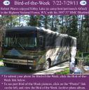 Filename=BirdofWeek2B0722112BPhares.jpg
Filesize=975KiB
Dimensions=1059x1061
Date added=Sep 09, 2015 BirdofWeek2B0722112BPhares.jpg