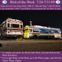 Filename=BirdofWeek2B0724092BBliss2B25262BGaramella.jpg
Filesize=315KiB
Dimensions=565x566
Date added=Sep 09, 2015 BirdofWeek2B0724092BBliss2B25262BGaramella.jpg