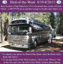 Filename=BirdofWeek2B0819112BKocher.jpg
Filesize=390KiB
Dimensions=565x566
Date added=Sep 09, 2015 BirdofWeek2B0819112BKocher.jpg