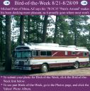 Filename=BirdofWeek2B0821092BPutz.jpg
Filesize=369KiB
Dimensions=565x566
Date added=Sep 09, 2015 BirdofWeek2B0821092BPutz.jpg
