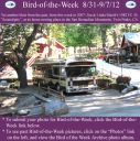 Filename=BirdofWeek2B0831122BMarsh.jpg
Filesize=440KiB
Dimensions=565x566
Date added=Sep 09, 2015 BirdofWeek2B0831122BMarsh.jpg