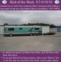 Filename=BirdofWeek2B0903102BBulriss.jpg
Filesize=310KiB
Dimensions=565x566
Date added=Sep 09, 2015 BirdofWeek2B0903102BBulriss.jpg