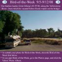 Filename=BirdofWeek2B0905082BEkberg.jpg
Filesize=271KiB
Dimensions=565x566
Date added=Sep 09, 2015 BirdofWeek2B0905082BEkberg.jpg