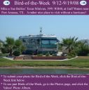 Filename=BirdofWeek2B0912082BBulriss.jpg
Filesize=324KiB
Dimensions=565x566
Date added=Sep 09, 2015 BirdofWeek2B0912082BBulriss.jpg