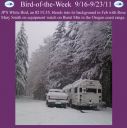 Filename=BirdofWeek2B0916112BSmith.jpg
Filesize=245KiB
Dimensions=565x566
Date added=Sep 09, 2015 BirdofWeek2B0916112BSmith.jpg
