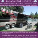 Filename=BirdofWeek2B0917102BMcMahan.jpg
Filesize=385KiB
Dimensions=565x566
Date added=Sep 09, 2015 BirdofWeek2B0917102BMcMahan.jpg