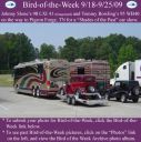 Filename=BirdofWeek2B0918092BSlone2B25262BBowling.jpg
Filesize=284KiB
Dimensions=565x566
Date added=Sep 09, 2015 BirdofWeek2B0918092BSlone2B25262BBowling.jpg