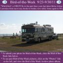 Filename=BirdofWeek2B0923112BLawrence.jpg
Filesize=297KiB
Dimensions=565x566
Date added=Sep 09, 2015 BirdofWeek2B0923112BLawrence.jpg