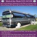 Filename=BirdofWeek2B0925092BBurgess.jpg
Filesize=344KiB
Dimensions=565x566
Date added=Sep 09, 2015 BirdofWeek2B0925092BBurgess.jpg